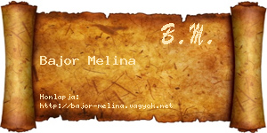Bajor Melina névjegykártya